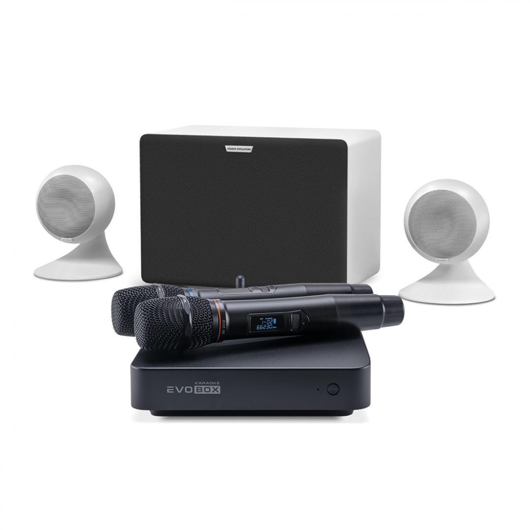 караоке-комплект EVOBOX Classic + EvoSound Sphere 2.1 в Фурманове