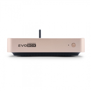 EVOBOX Plus караоке-система для дома в Фурманове